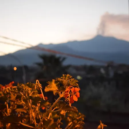 B&B L' Aquila dell' Etna-2